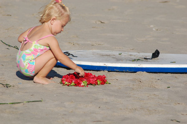 richie_allen_surf_129